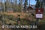 Království perníku