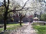 Velikonoce v Perníkové chaloupce 2009